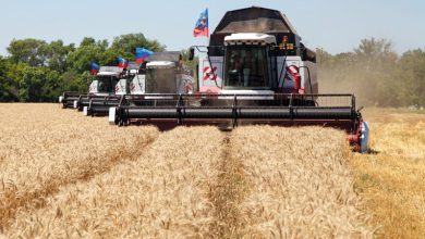 صورة مزارع أوكرانيا تخسر 4.3 مليار دولار