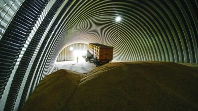 صورة القمح الأوكراني ينطلق نحو العالم