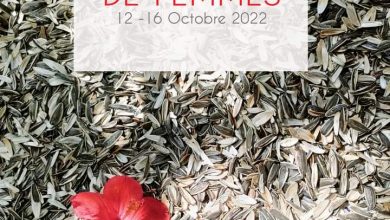 صورة تونس تحتضن  النسخة_الرابعة_للمهرجان_الدّولي ل فيلم_المرأة “بعيونهنّ” من 12 الى 16 أكتوبر 2022