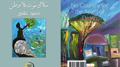 صورة قراءة نقدية في مجموعة حميد عقبي الشعرية “ملاك موت بلا وطن
